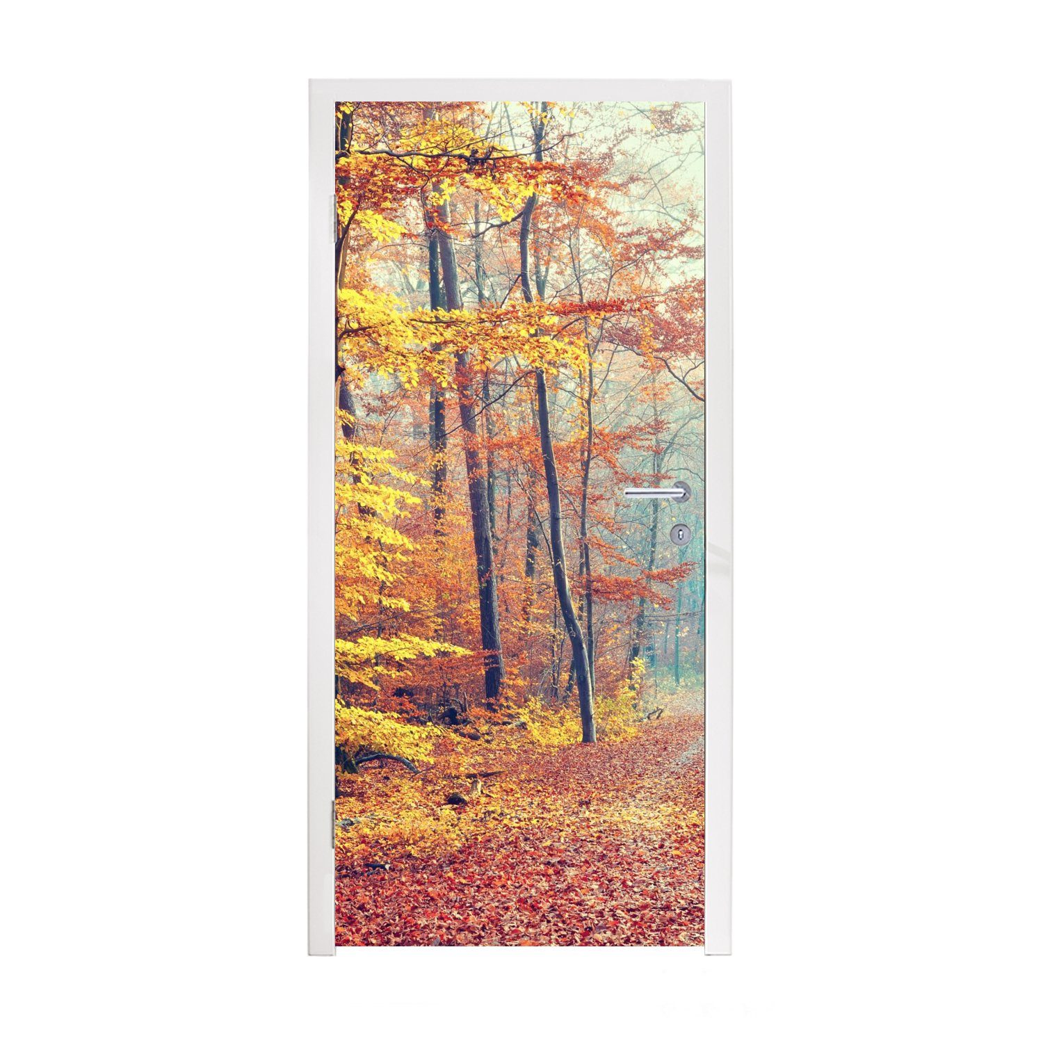 MuchoWow Türtapete Wald - Herbst - Laub, Matt, bedruckt, (1 St), Fototapete für Tür, Türaufkleber, 75x205 cm | Türtapeten