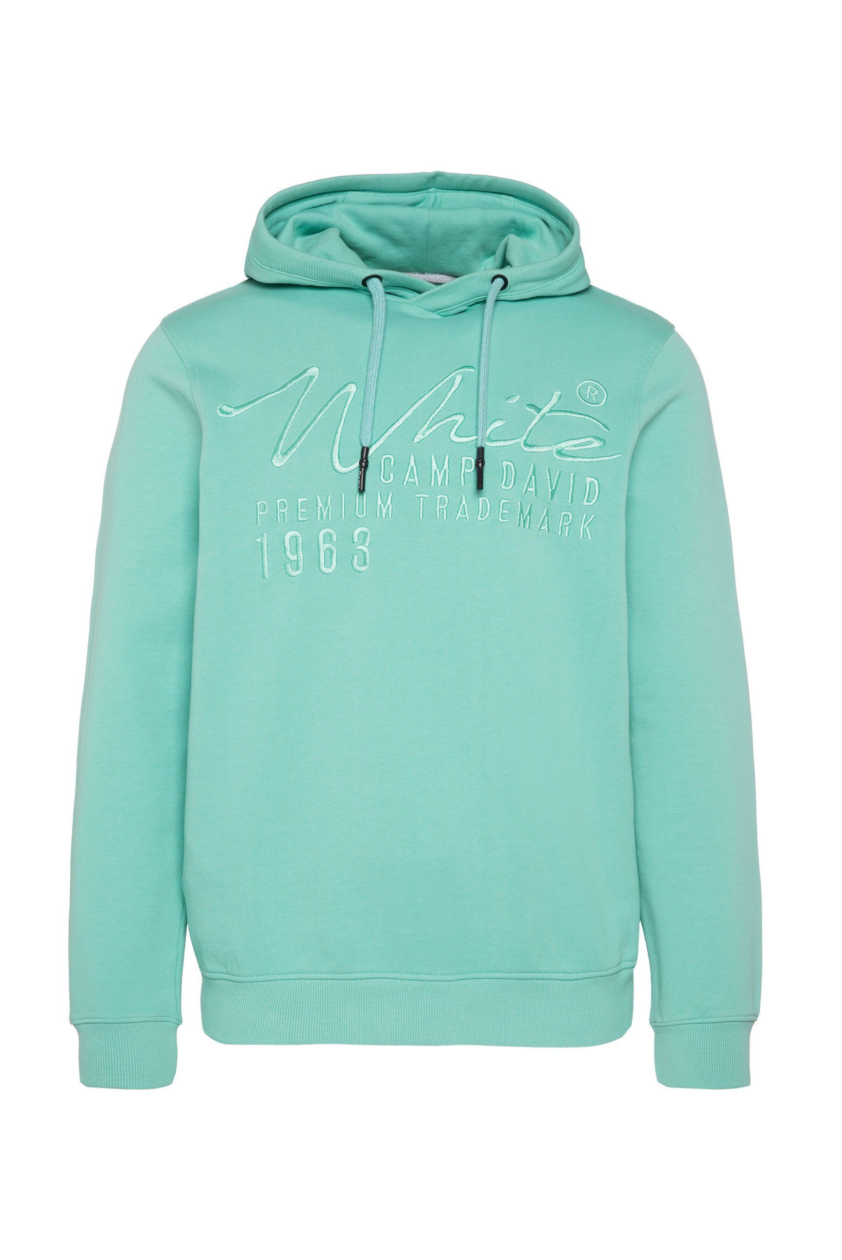 Logostickerei DAVID CAMP mit nordic Kapuzensweatshirt green