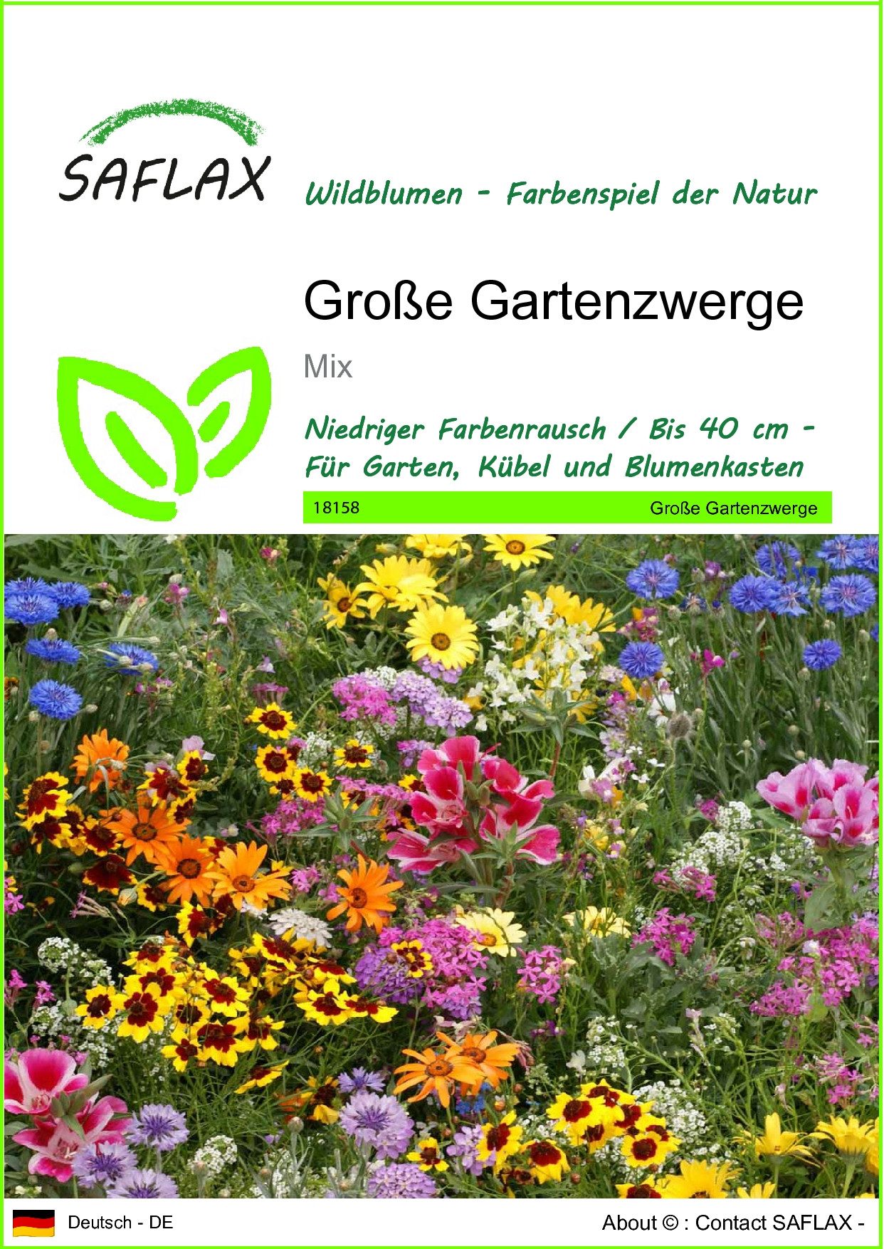 Blumensamen SAFLAX - Samen - Große Gartenzwerge