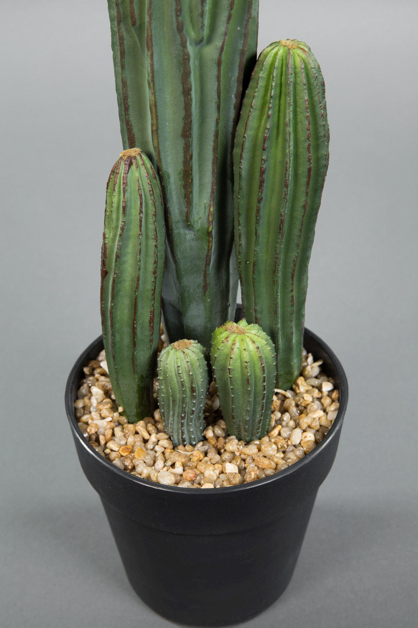 Kunstkaktus Säulenkaktus im Topf DP Kunstpflanzen künstliche Kakteen Pflanze Kaktus, Seidenblumen Roß, Höhe 42 cm