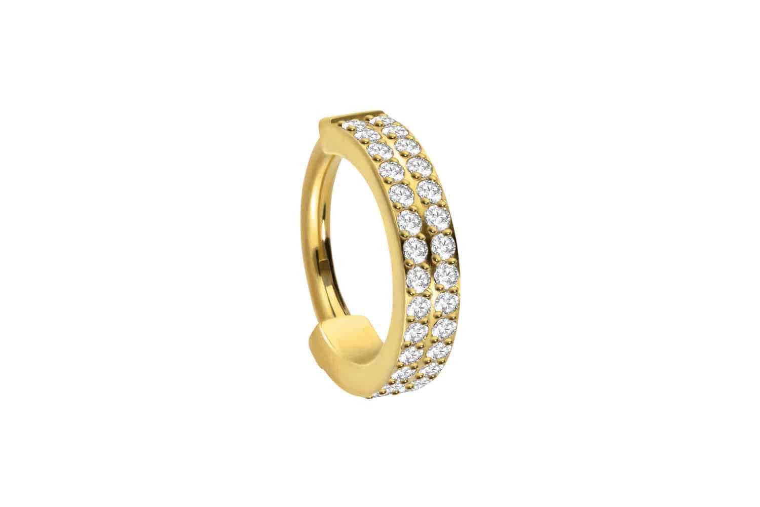 Piercing-Set Titan Segmentring Clicker ZWEI EINGEFASSTE KRISTALLREIHEN