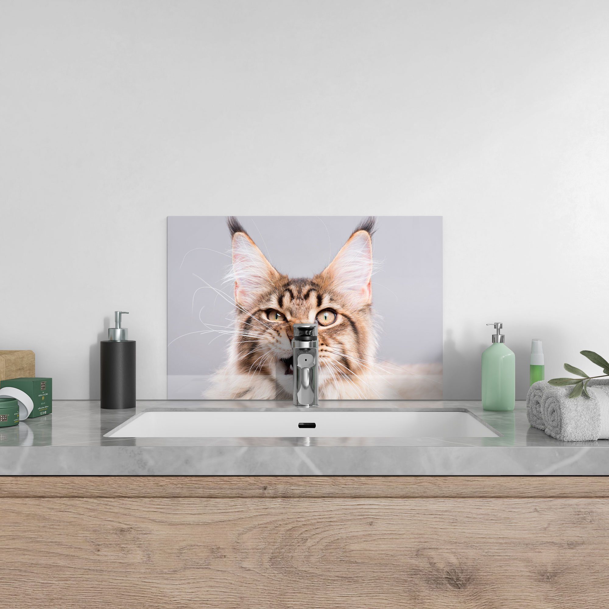 faucht', DEQORI 'Maine Coon Glas Herdblende Badrückwand Küchenrückwand Katze Spritzschutz