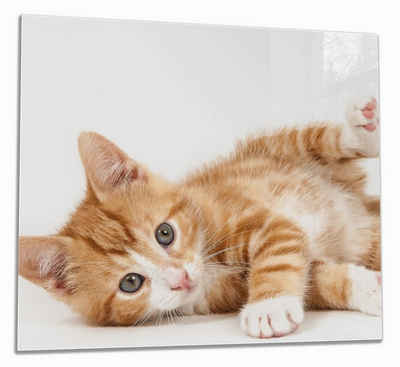 Wallario Herd-Abdeckplatte Süße Katze mit großen Augen - rot weiß getigert, ESG-Sicherheitsglas, (Glasplatte, 1 tlg., inkl. 5mm Noppen), verschiedene Größen