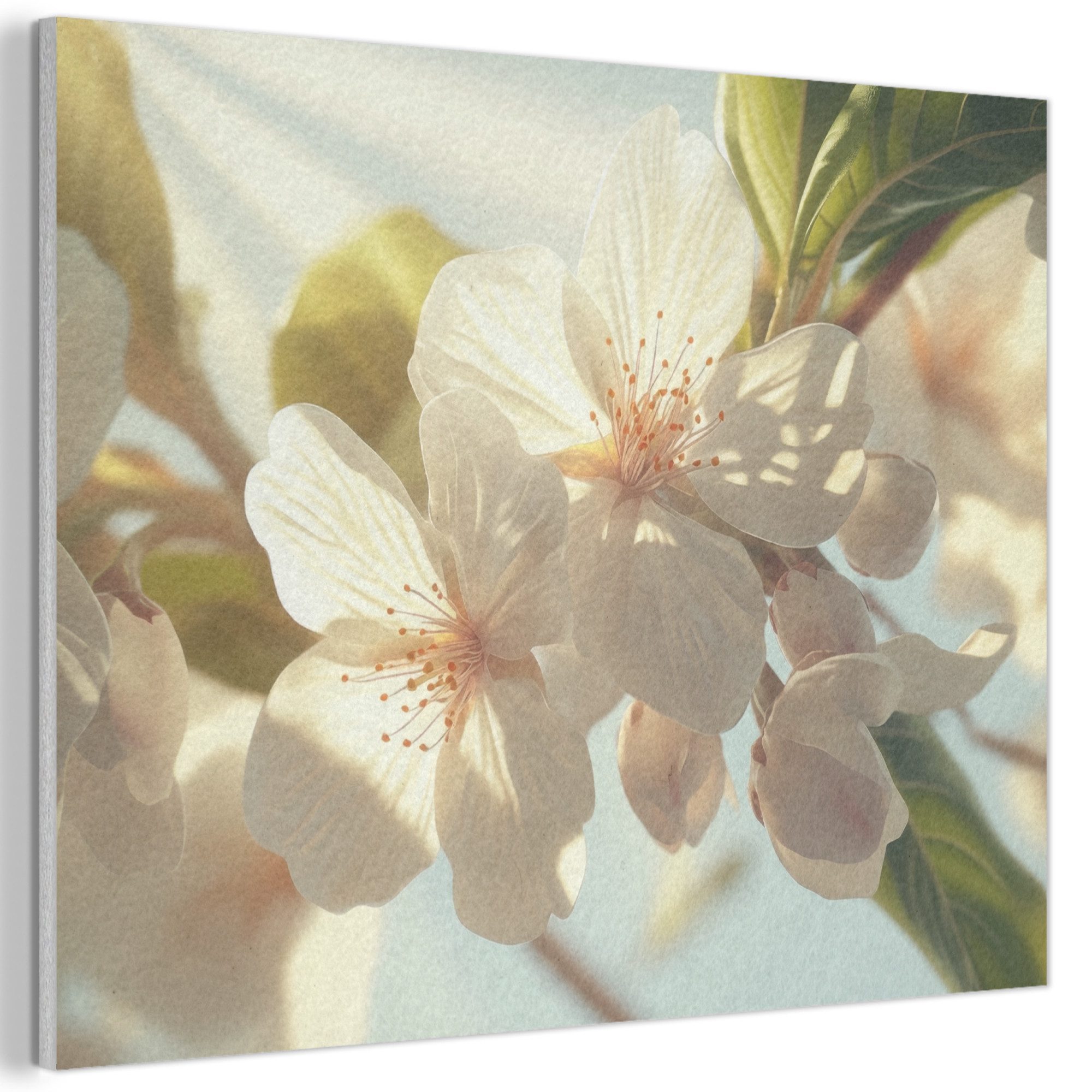 MuchoWow Gemälde Blüten - Weiß - günstig online kaufen