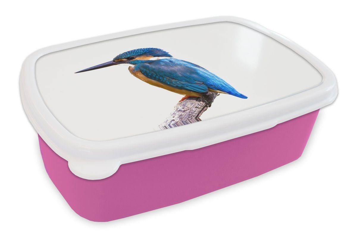 MuchoWow Lunchbox Eisvogel - Federn - Zweig - Blau, Kunststoff, (2-tlg), Brotbox für Erwachsene, Brotdose Kinder, Snackbox, Mädchen, Kunststoff rosa
