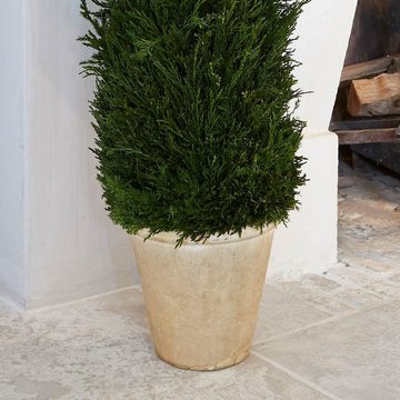 Mirabeau Dekobaum Deko-Topfpflanze Arras grün