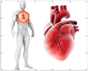 Wallario Sichtschutzzaunmatten Anatomie des Menschen  Herz in Nahansicht