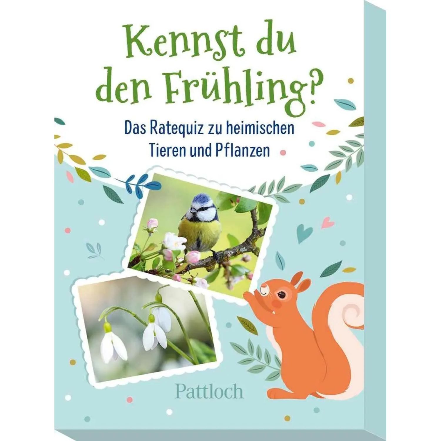Spiel Kennst du den Frühling?