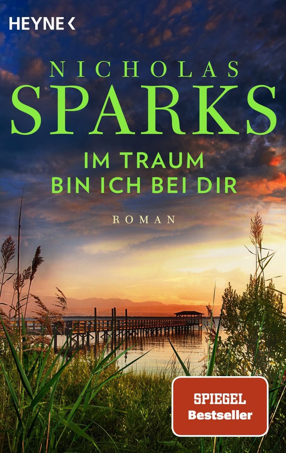 Im Traum bin ich bei dir / Nicholas Sparks, Roman