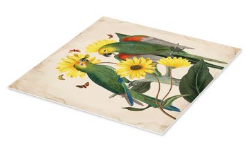 Posterlounge Forex-Bild Mandy Reinmuth, Exotische Papageien II, Wohnzimmer Vintage Grafikdesign