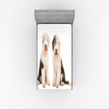 Spannbettlaken Soft Dekorativer Stoff Bettwäsche Rund-um Elastischer Gummizug, Abakuhaus, Englisch Sheepdog Junger Erwachsener Hund