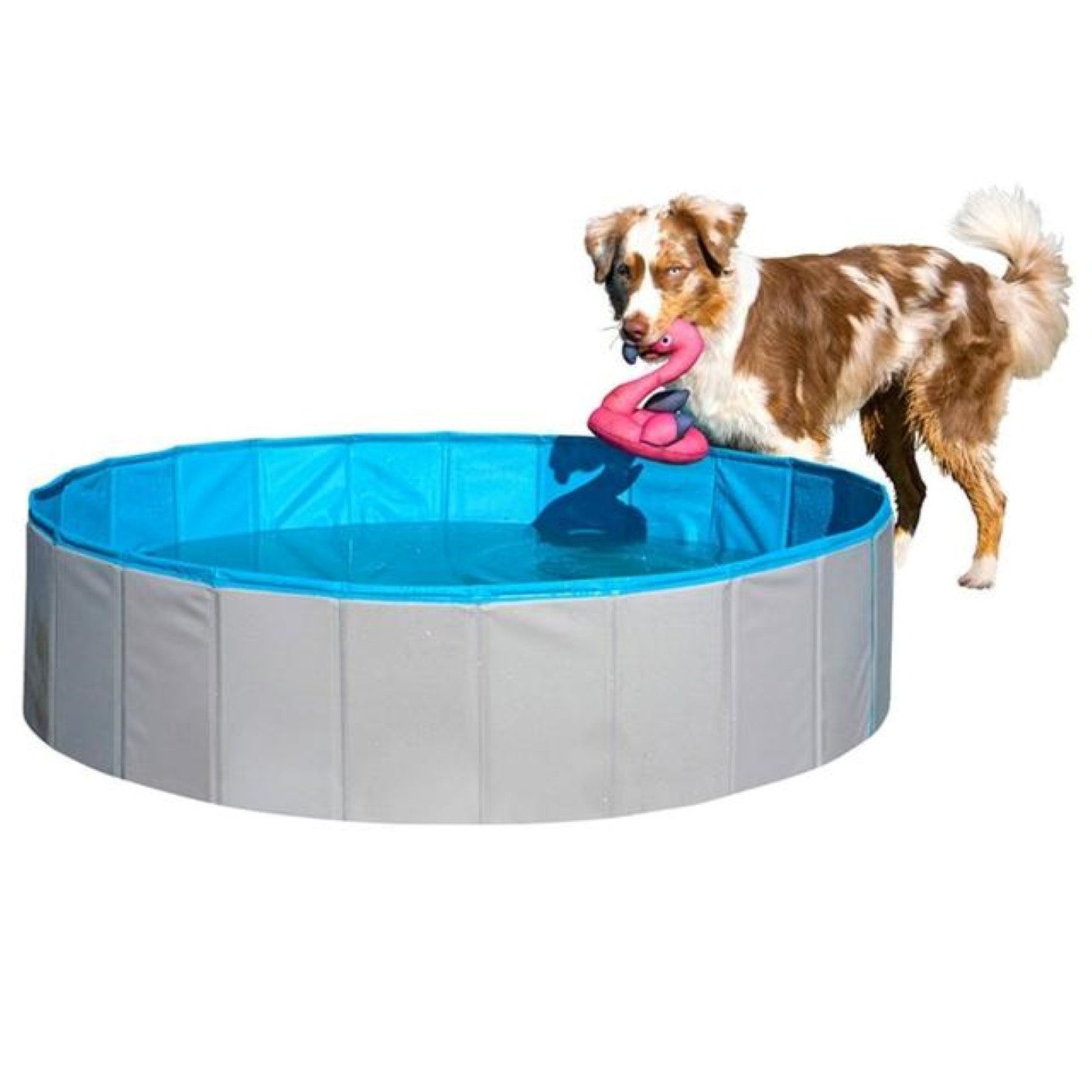 HAC24 Hundepool Faltbarer Hundeplanschbecken Hunde Pool, Ablassventil 80 x 20 cm Rutschfester Boden