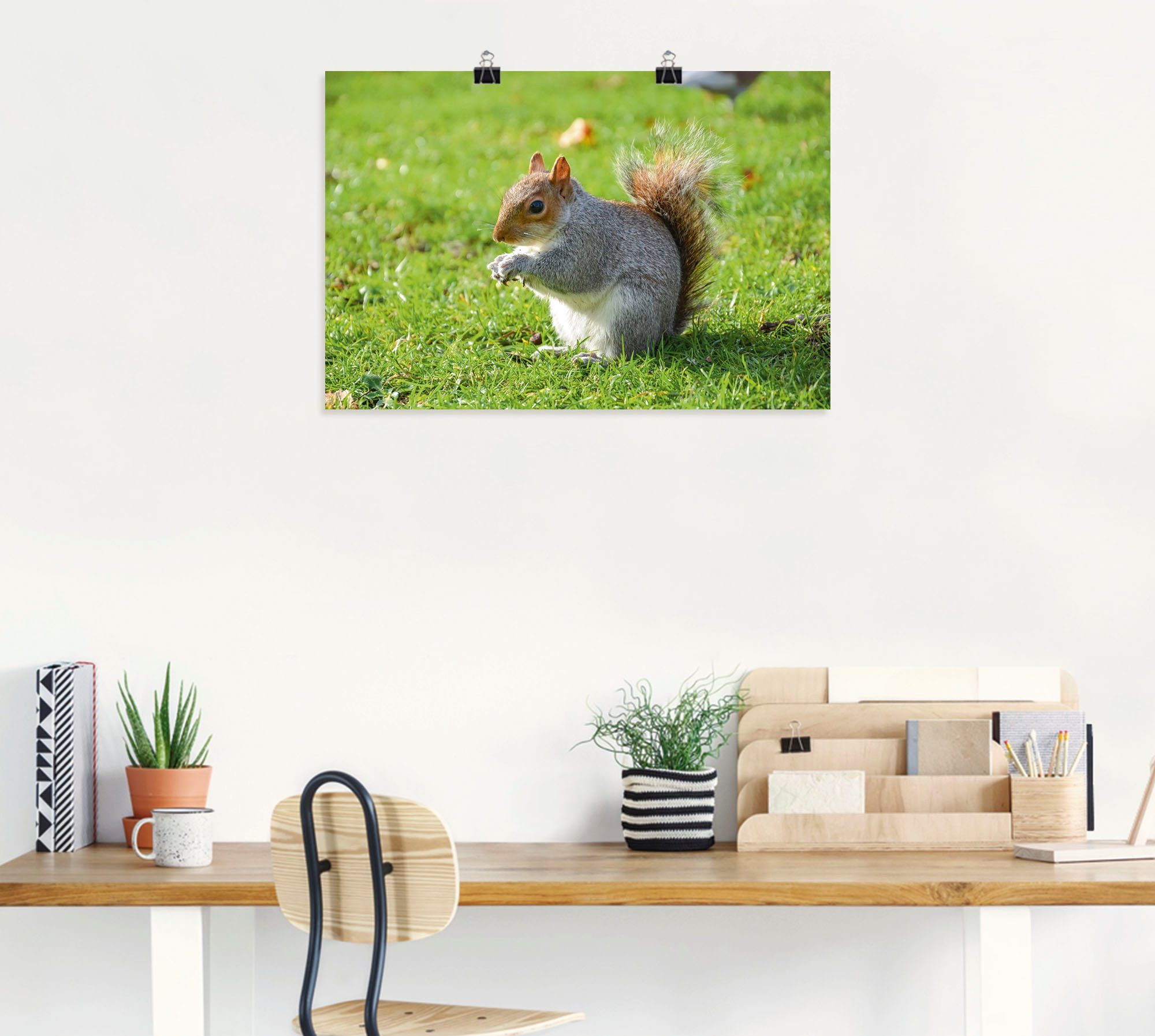 Eichhörnchen, Wandbild Leinwandbild, St), Graues Wildtiere als Alubild, Wandaufkleber Größen Artland in oder versch. Poster (1