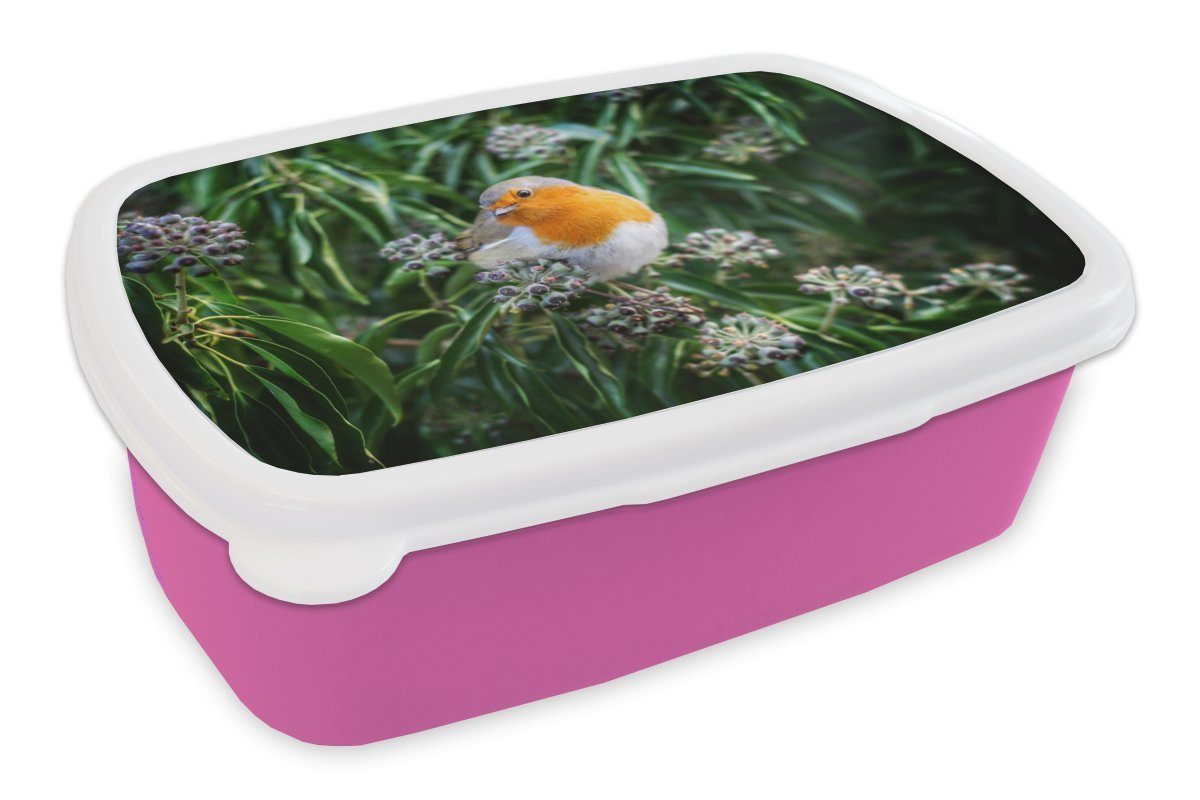 MuchoWow Lunchbox Blumen - Vogel - Rotkehlchen, Kunststoff, (2-tlg), Brotbox für Erwachsene, Brotdose Kinder, Snackbox, Mädchen, Kunststoff rosa