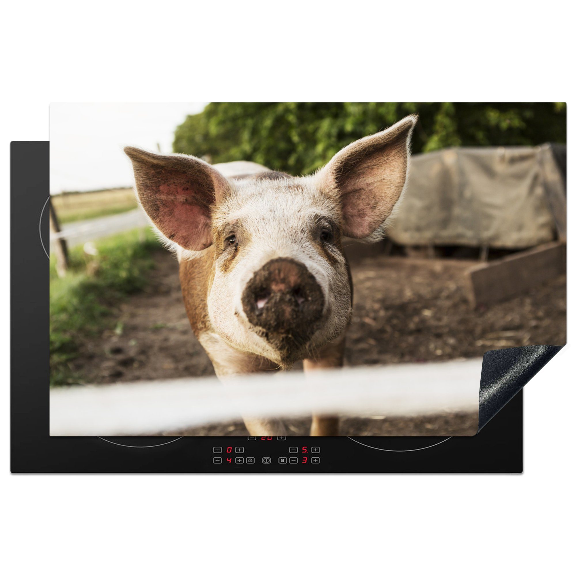 Ceranfeldabdeckung MuchoWow Induktionskochfeld Herdblende-/Abdeckplatte Bauernhof für küche, - Schwein 81x52 Vinyl, Schutz Tier, tlg), cm, - die (1