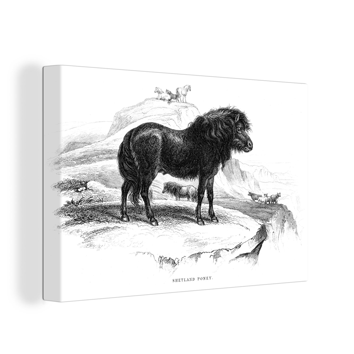OneMillionCanvasses® Leinwandbild Eine Illustration eines schwarzen Shetlanders - schwarz und weiß, (1 St), Wandbild Leinwandbilder, Aufhängefertig, Wanddeko, 30x20 cm