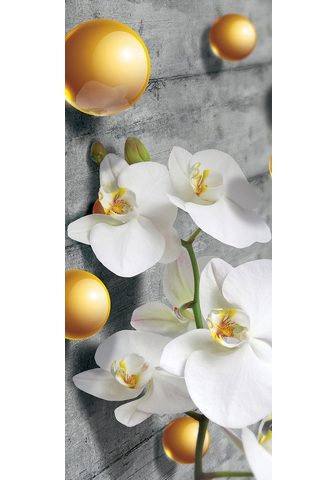  CONSALNET обои »ORCHIDEE« ...