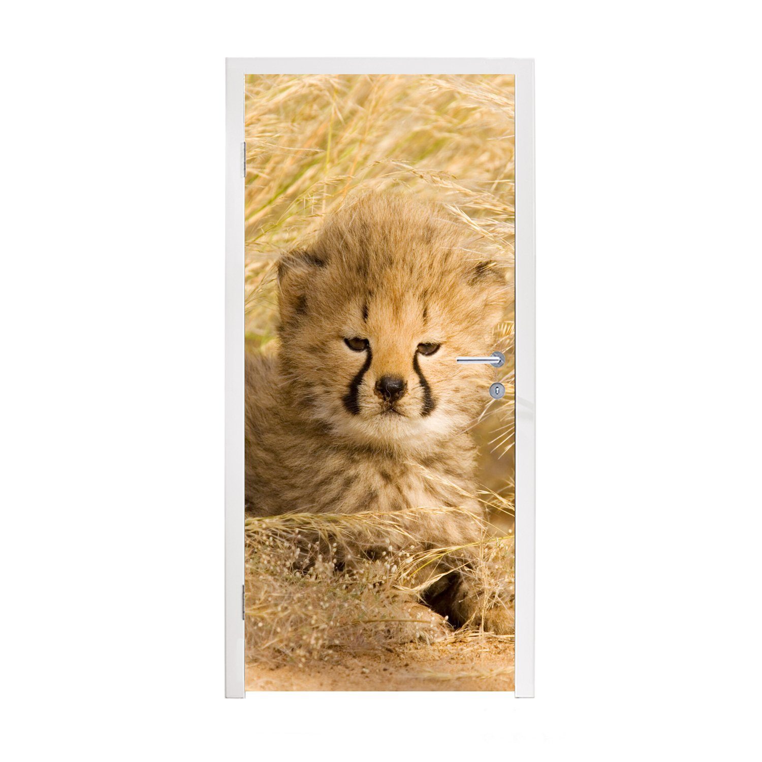 MuchoWow Türtapete Gepard - Jung - Gras, Matt, bedruckt, (1 St), Fototapete für Tür, Türaufkleber, 75x205 cm
