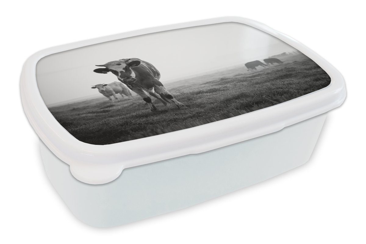 Kunststoff, im für und und Kinder (2-tlg), Foto, MuchoWow Brotdose, Kühe Jungs Morgennebel schwarz-weiß Mädchen Lunchbox Brotbox für Erwachsene,