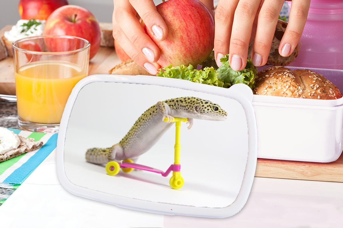 MuchoWow Lunchbox Gecko auf (2-tlg), weiß und Motorroller, für für Kinder Kunststoff, Mädchen einem und Erwachsene, Brotdose, Jungs Brotbox