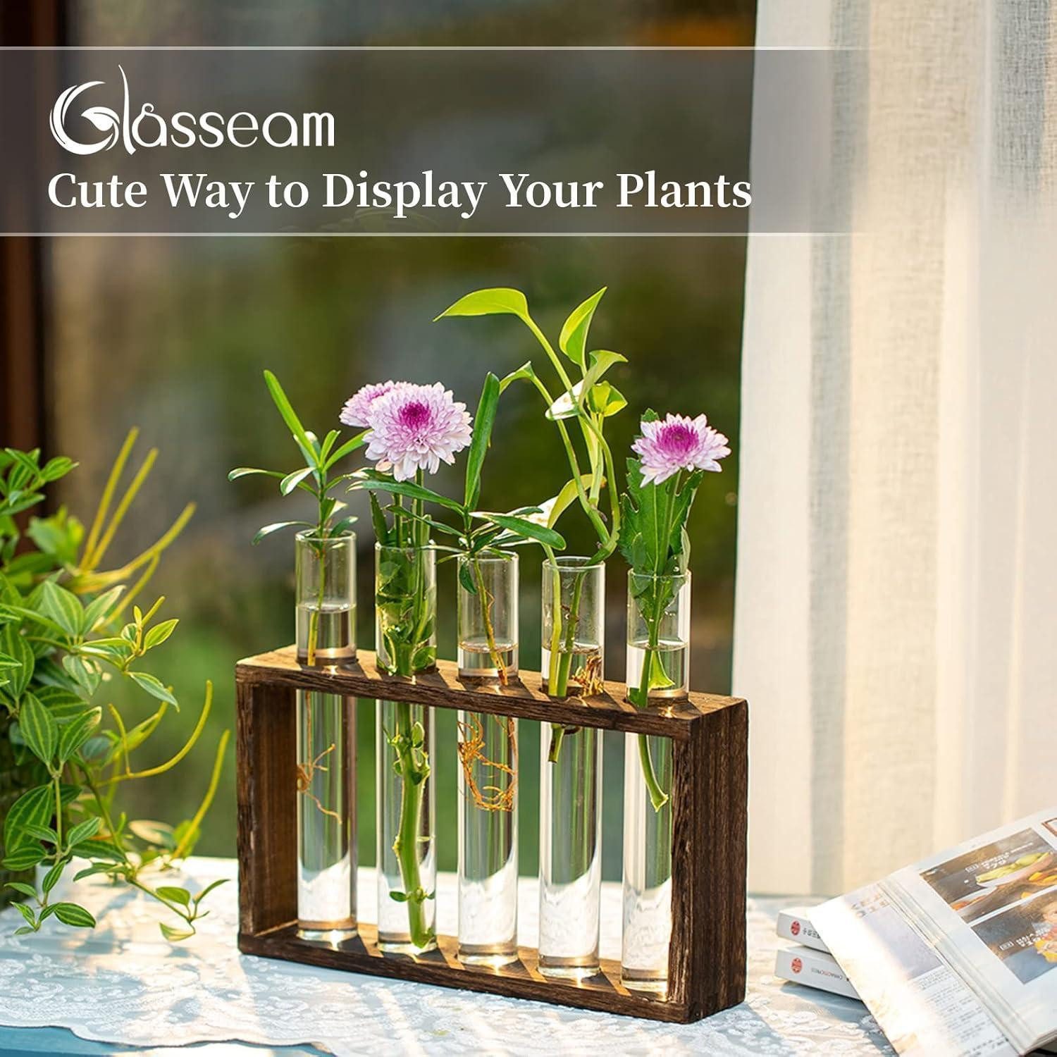 LuxusKollektion Blumenständer Blumenvase Vintage Glas Reagenzgläser Holzständer Set 6 Vasen