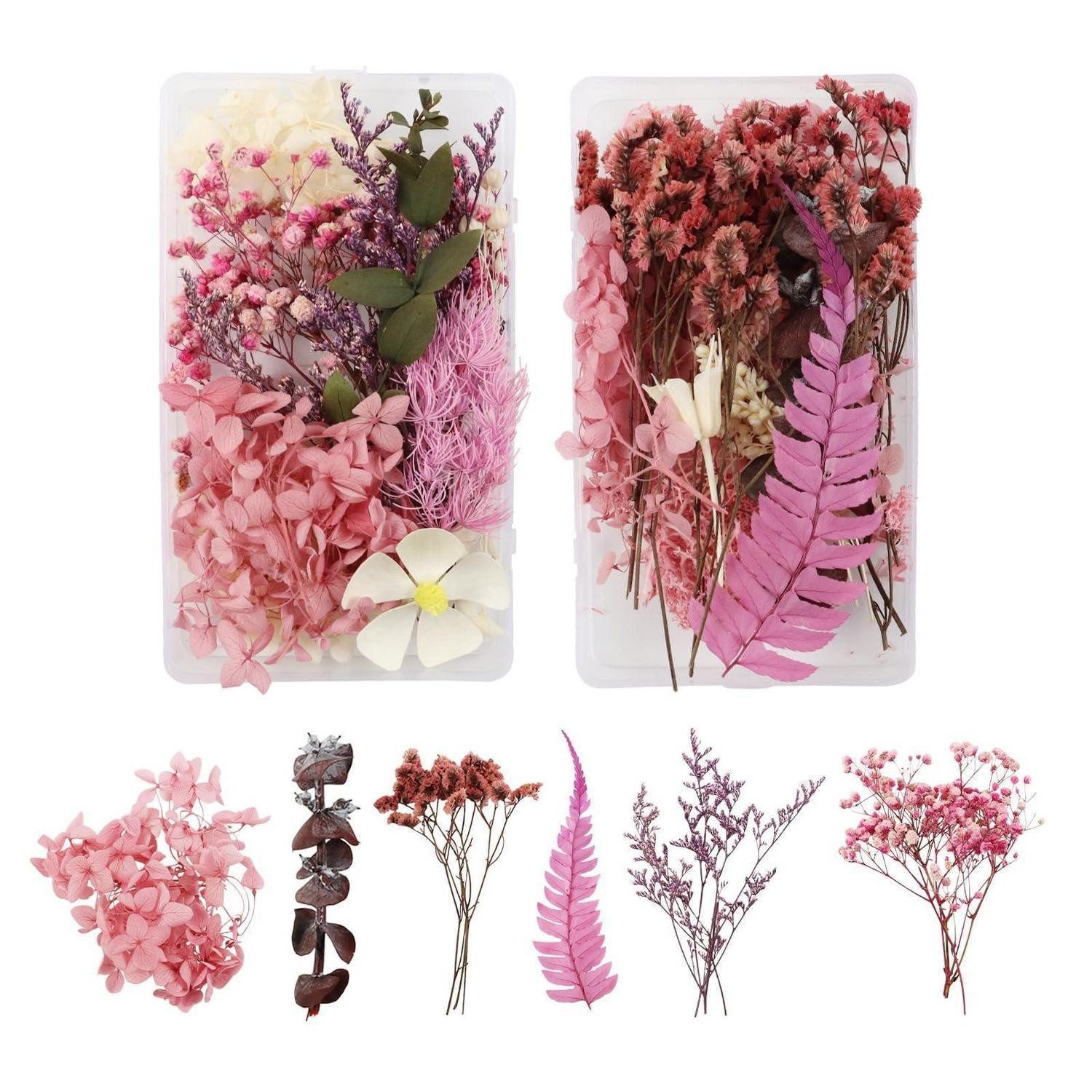 Trockenblume Trockenblumen Set Natur 2Stck Rosa Lila Rosenrot, LuxusKollektion, Höhe 1 cm