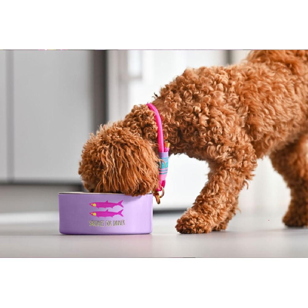 Giftcompany Futternapf Futternapf Love Pets Fressnapf Bark Aged Chardognay (20cm)