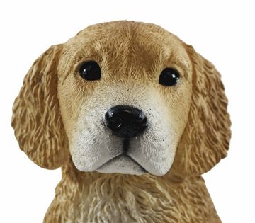 Castagna Tierfigur Deko Figur Hund Golden Retriever Welpe Hundefigur sitzend Kollektion Castagna aus Resin H 24 cm