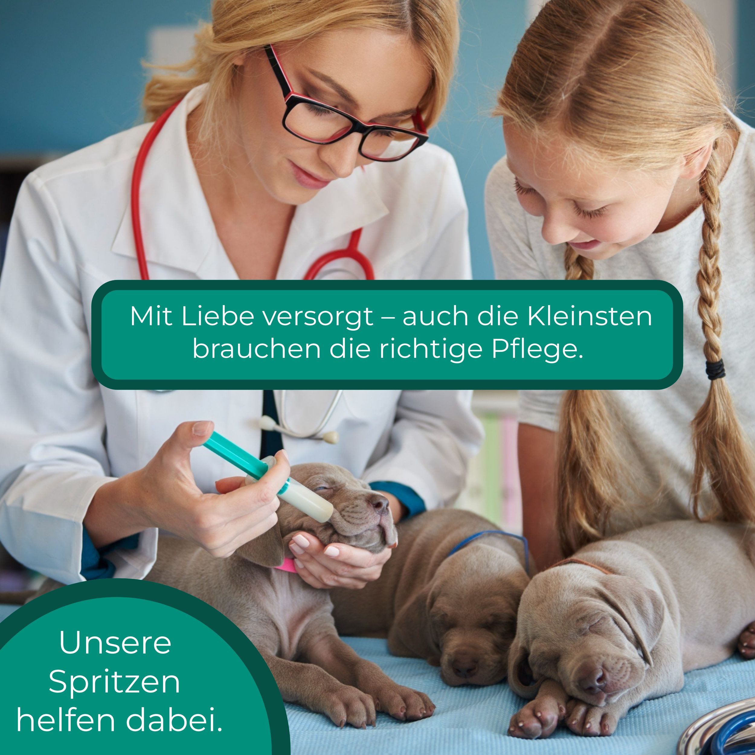 Dispomed Einwegspritze ECOJECT 2-tlg Einmal-Spritzen 80 bis 100Stk -Größe wählbar-, (Großpackung, 100-St., sterile Einwegspritzen), für medizinische und nicht-m – Bild 4 von 5