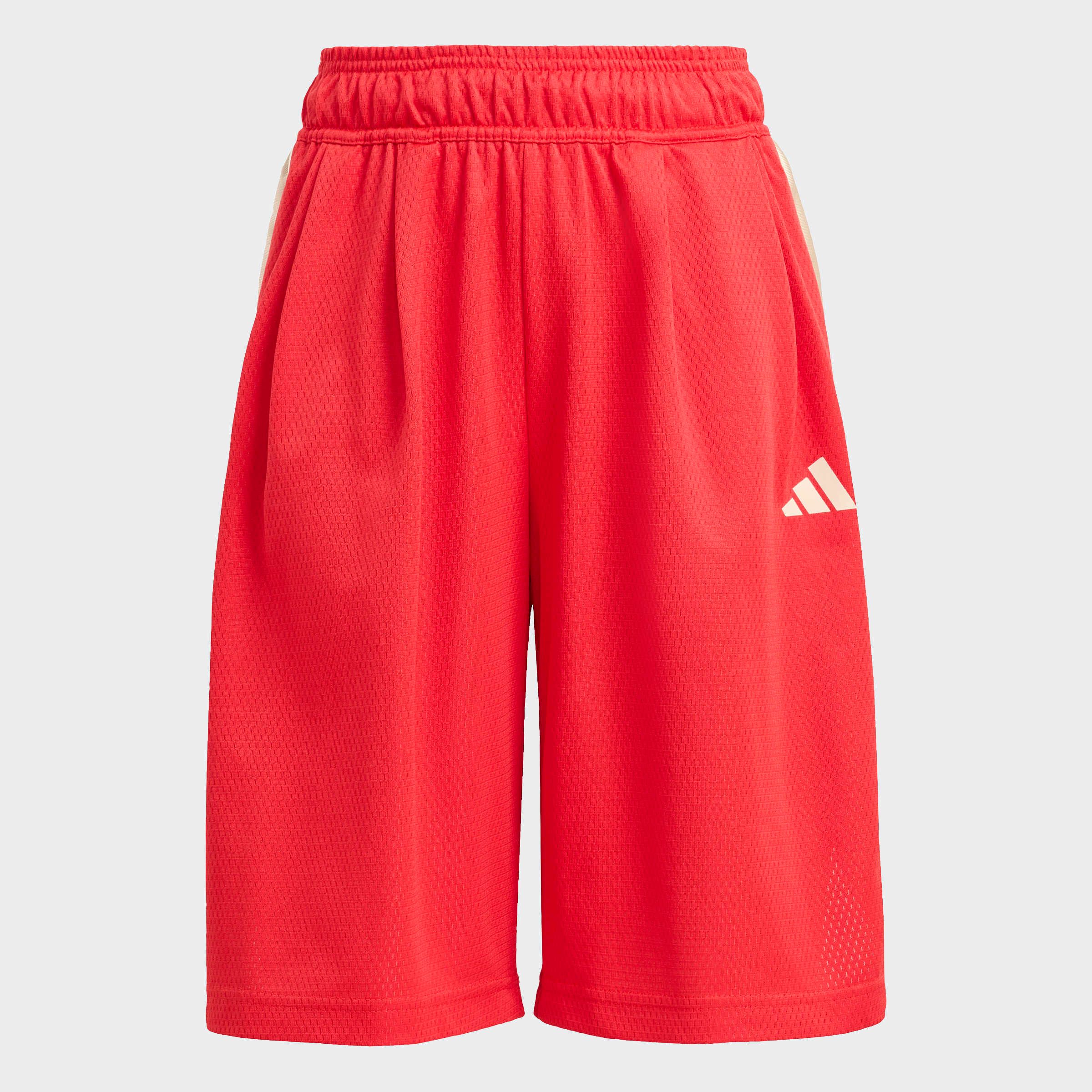 Shorts STADIUM MESH
