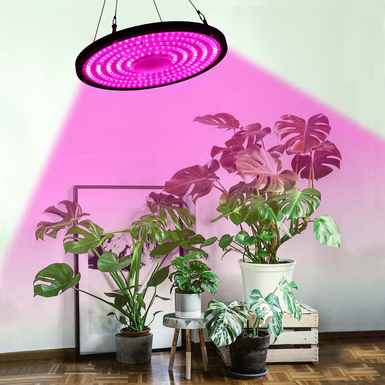 Jibenhome Pflanzenlampe 70W/100W/150W LED Pflanzenlampe Vollspektrum, UFO W günstig online kaufen