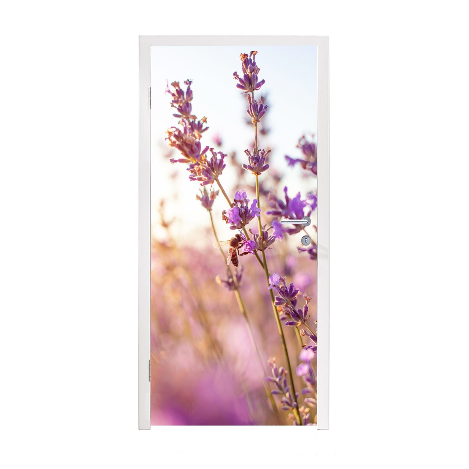 MuchoWow Türtapete Lavendel - Nahaufnahme - Sonne - Blumen - Lila, Matt, bedruckt, (1 St), Fototapete für Tür, Türaufkleber, 75x205 cm