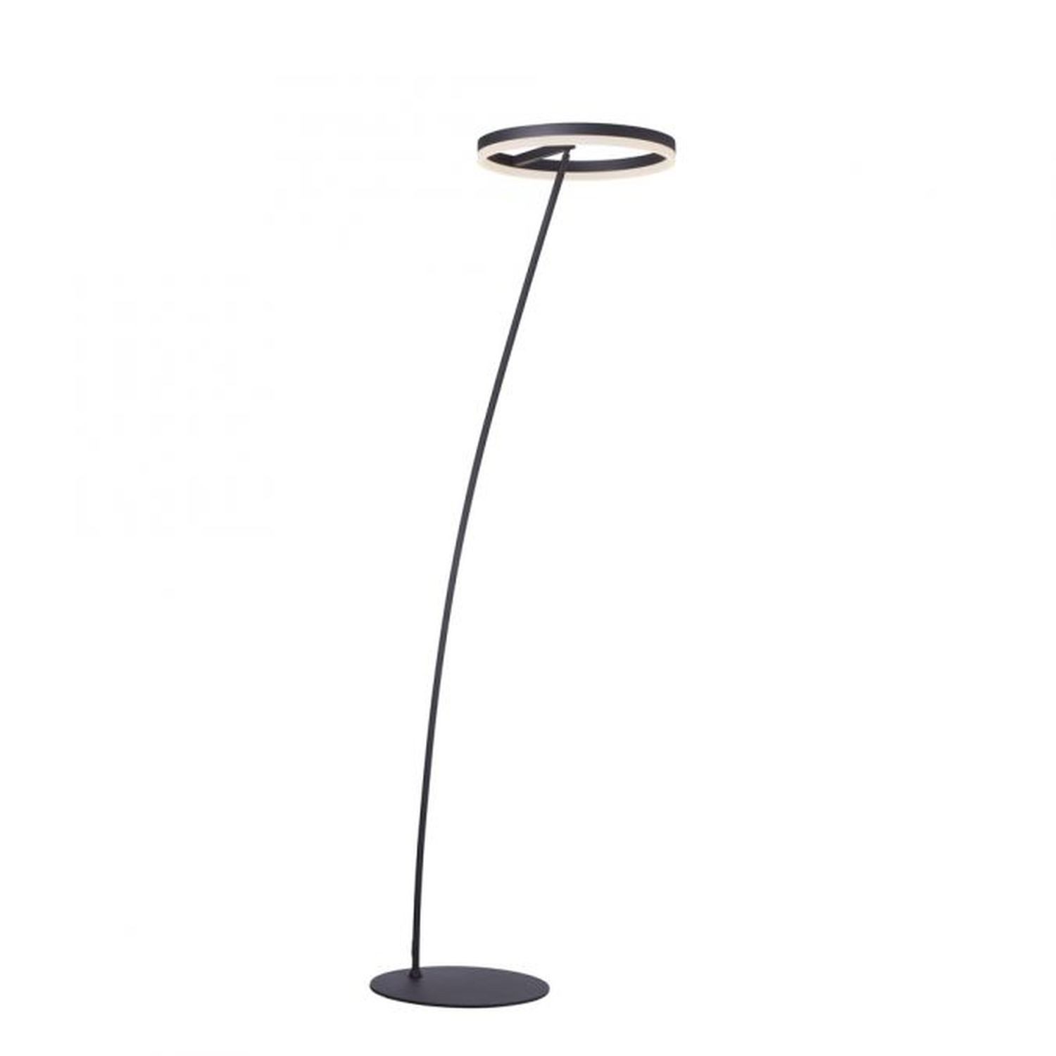 Licht-Erlebnisse Stehlampe UMUS, LED fest integriert, Warmweiß, LED mit Dimmer Metall verstellbar 215 cm Anthrazit 3000 K warmweiß