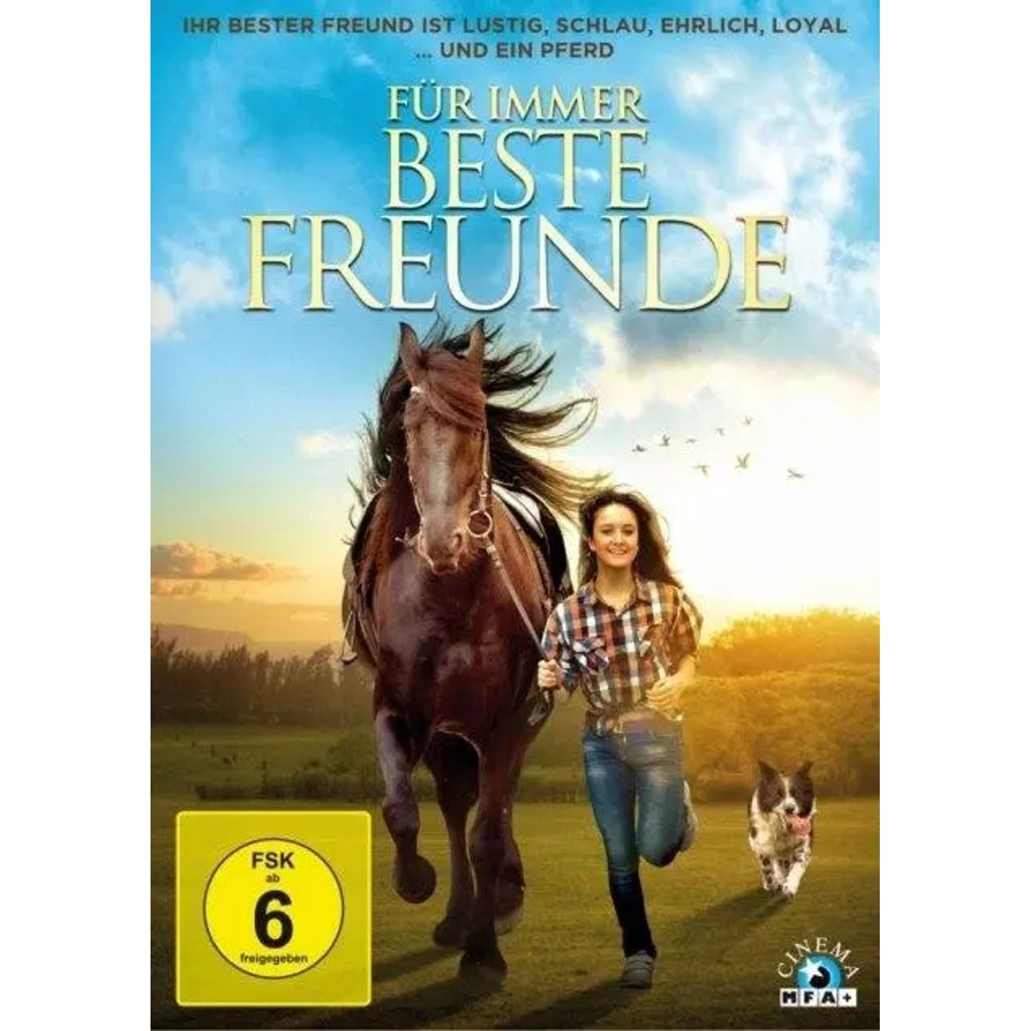 MFA DVD Für immer beste Freunde