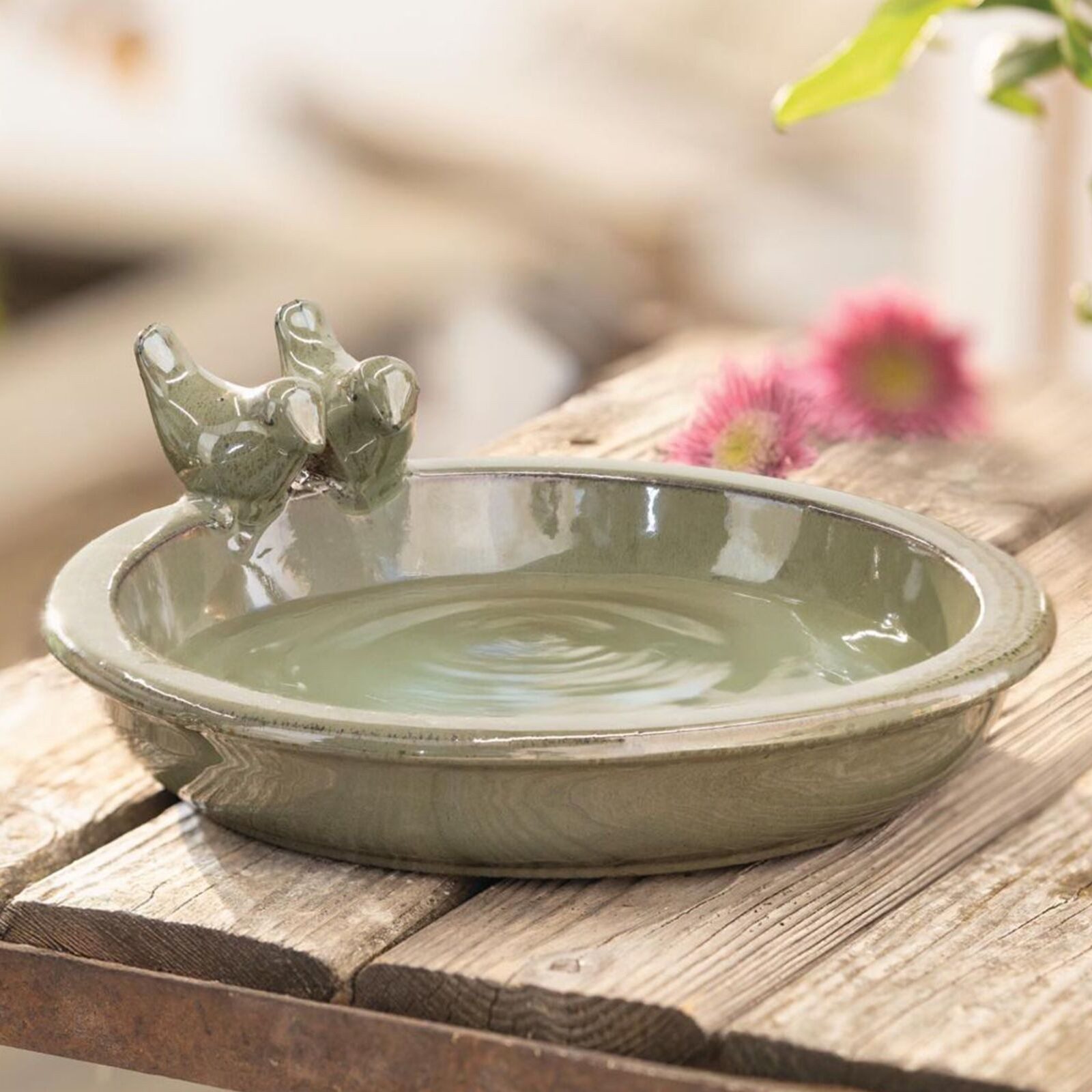 Dekoleidenschaft Vogeltränke "Oliv" Terracotta grün glasiert, Vogelbad, Wasserschale, Wassertränke, rund Ø 30 cm
