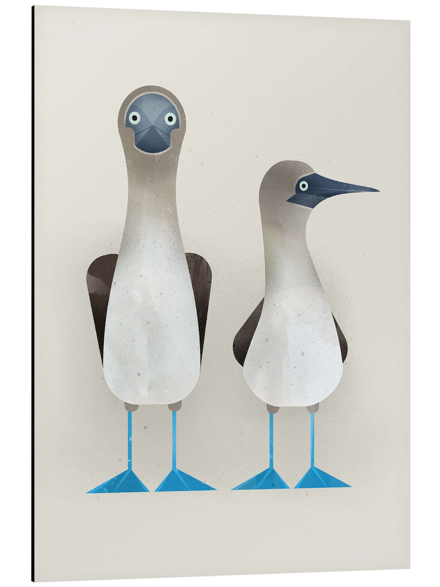 Posterlounge Poster Dieter Braun, Blaufußtölpel, Badezimmer günstig online kaufen