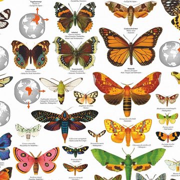 Close Up Poster Schmetterlinge der Welt Poster deutsch DIN A1 84,1 x 59,4 cm
