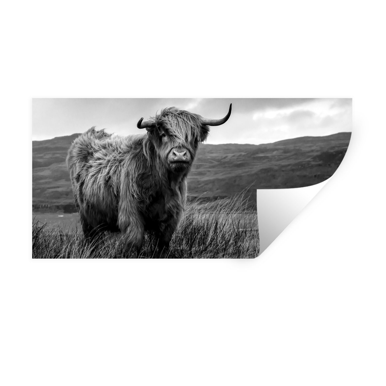 MuchoWow Wandsticker Schottischer Highlander - Berg - Wasser - Natur - Kuh (1 St), Wandaufkleber, Repositionierbar, Wandtattoo, Selbstklebend, Sticker