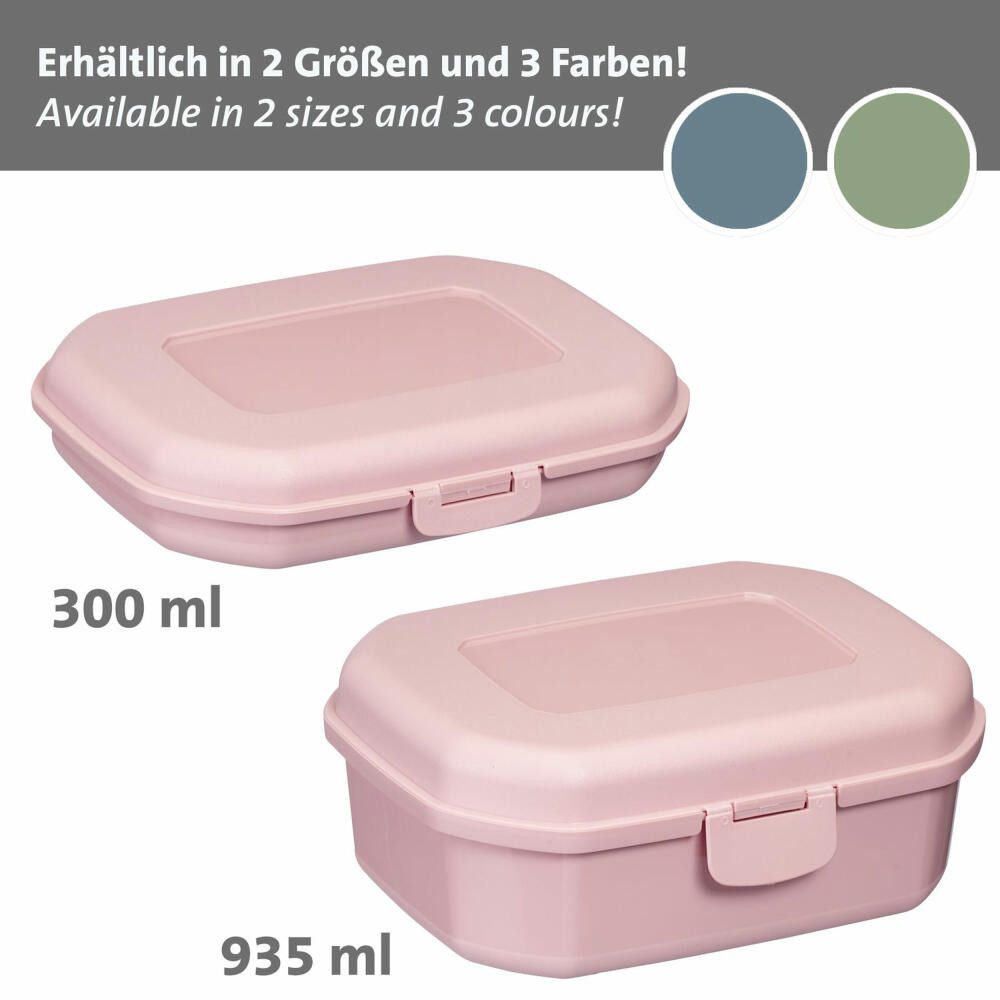 WESTMARK Lunchbox 3 Stk., Brotdosen/Snackboxen, mit Klick-Verschluss, Höhe: ca. 3,7 cm, PP