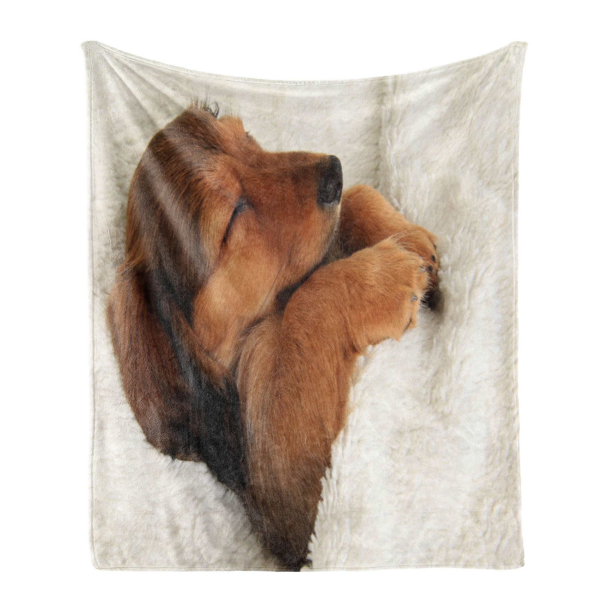 Wohndecke Gemütlicher Plüsch für den Innen- und Außenbereich, Abakuhaus, Dackel Puppy Sleeping in seinem Bett