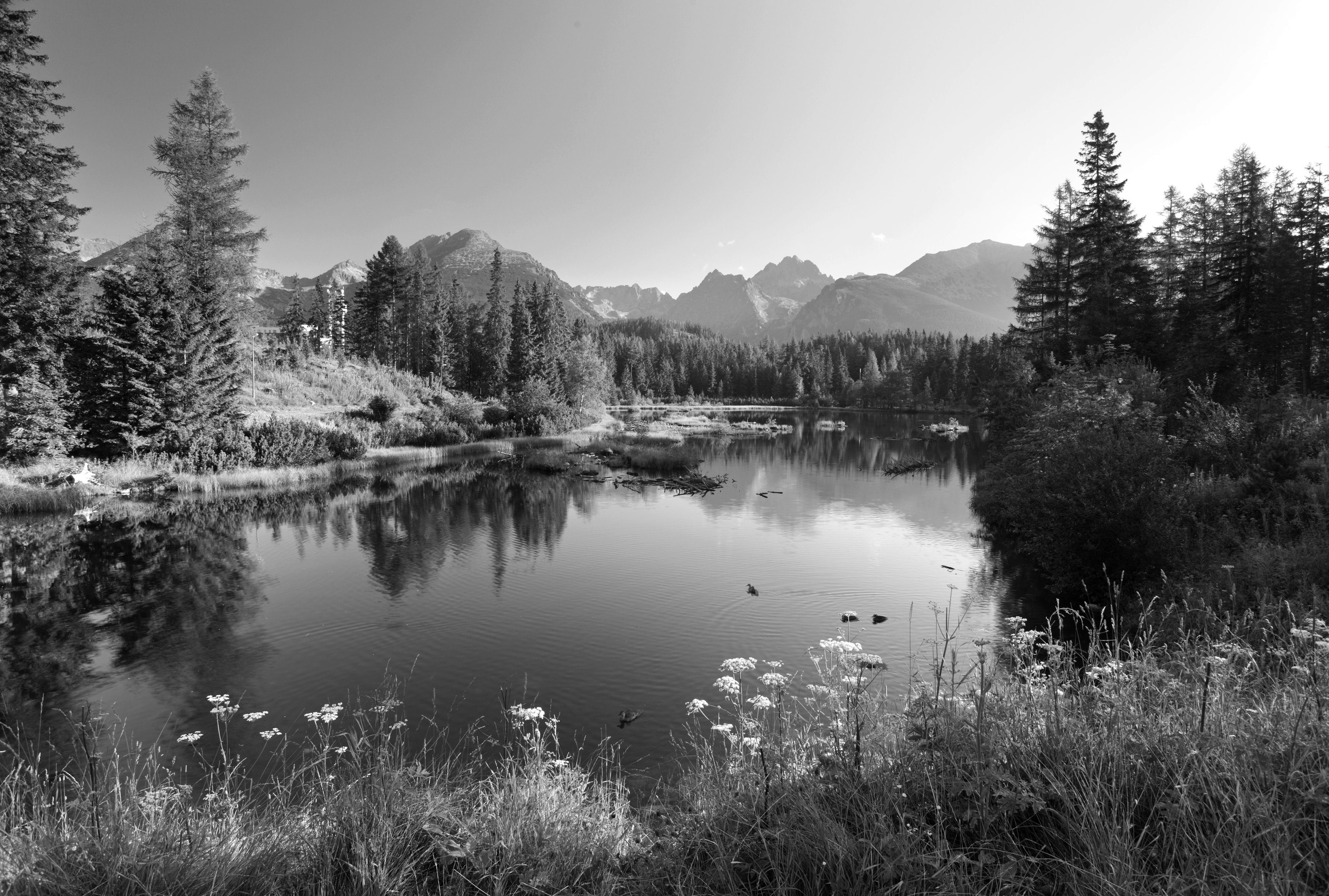 Fototapete Landschaft Schwarz & Weiß