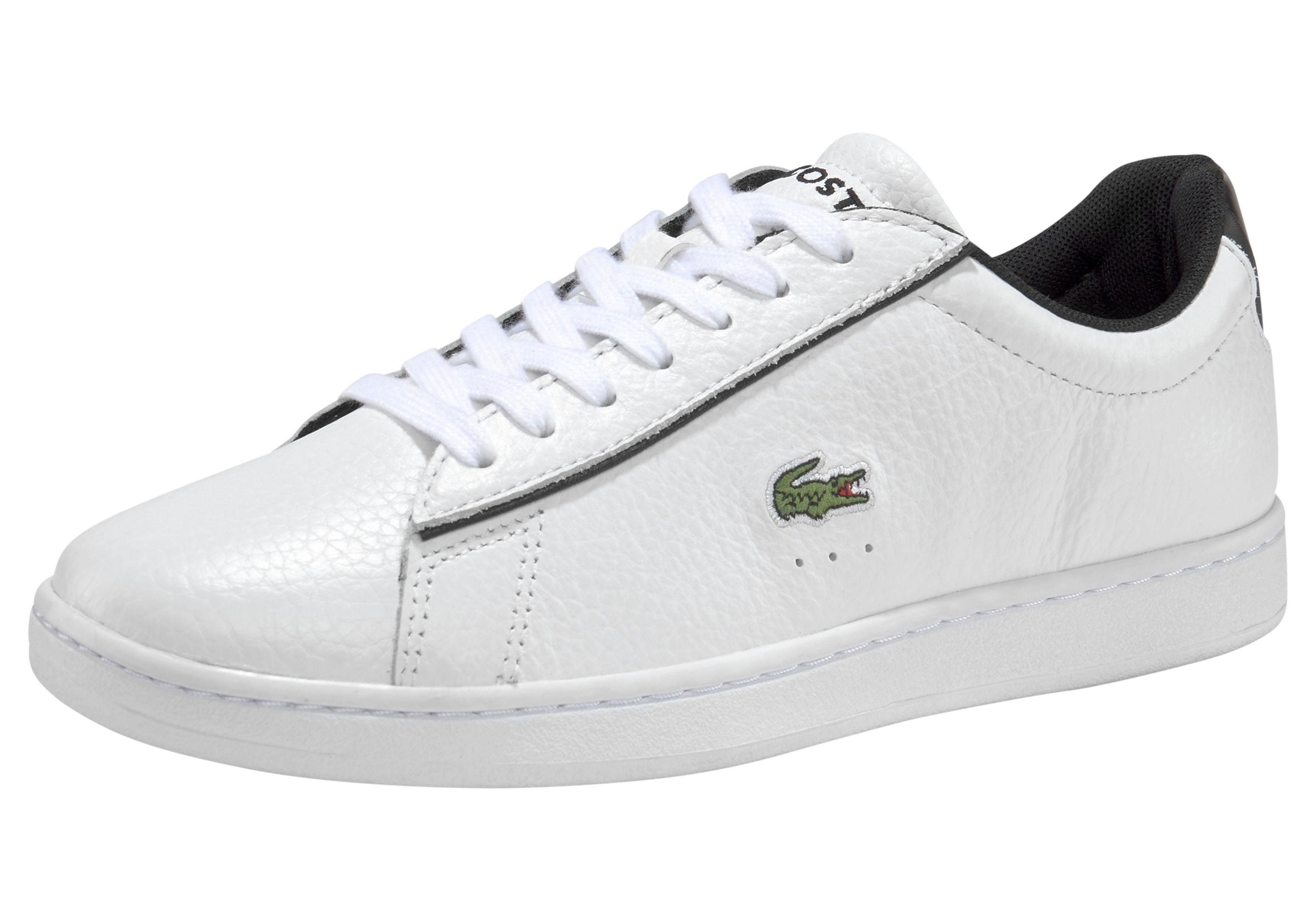 bobs skechers doug the pug