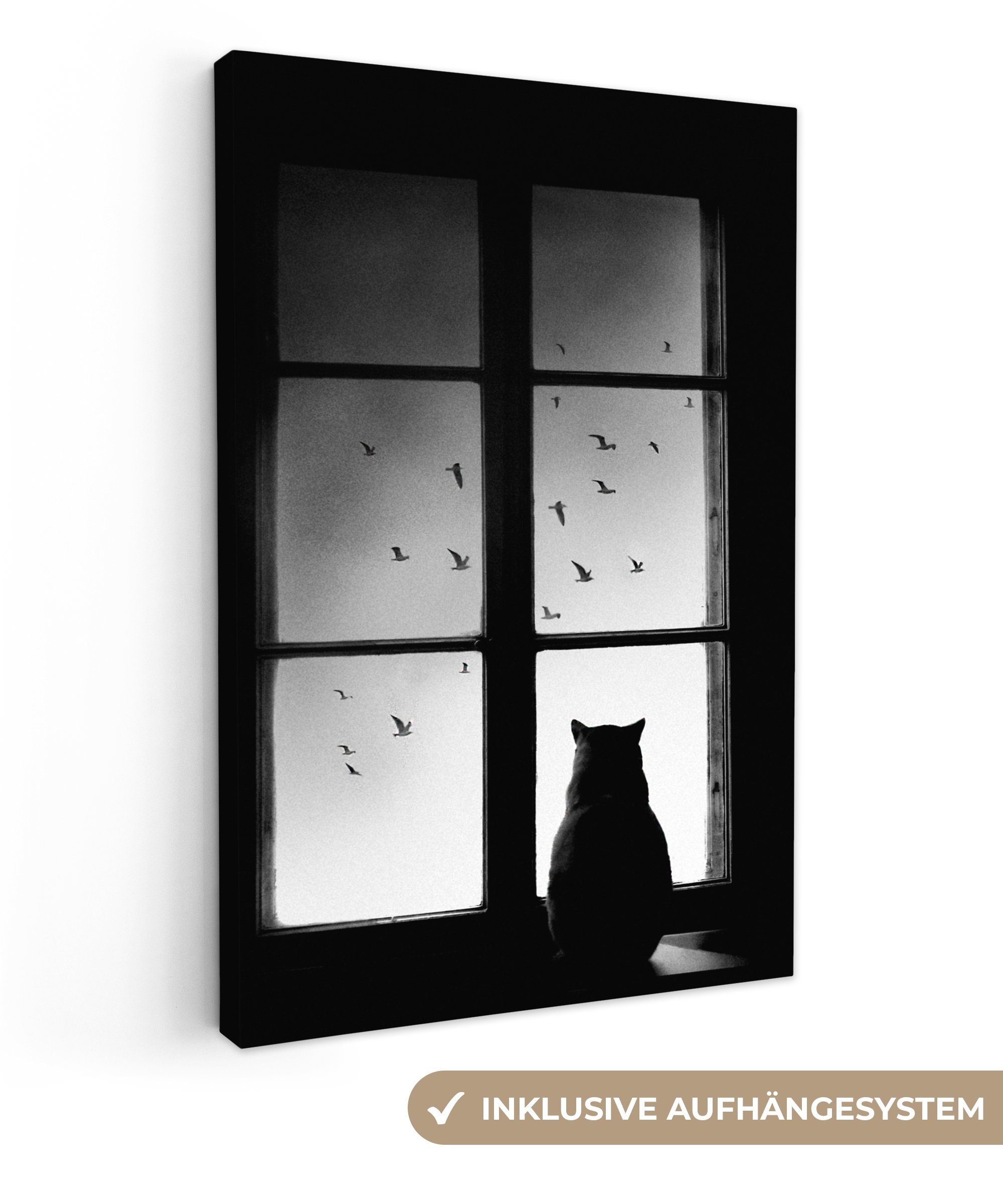 OneMillionCanvasses® Leinwandbild Katze - Tiere - günstig online kaufen