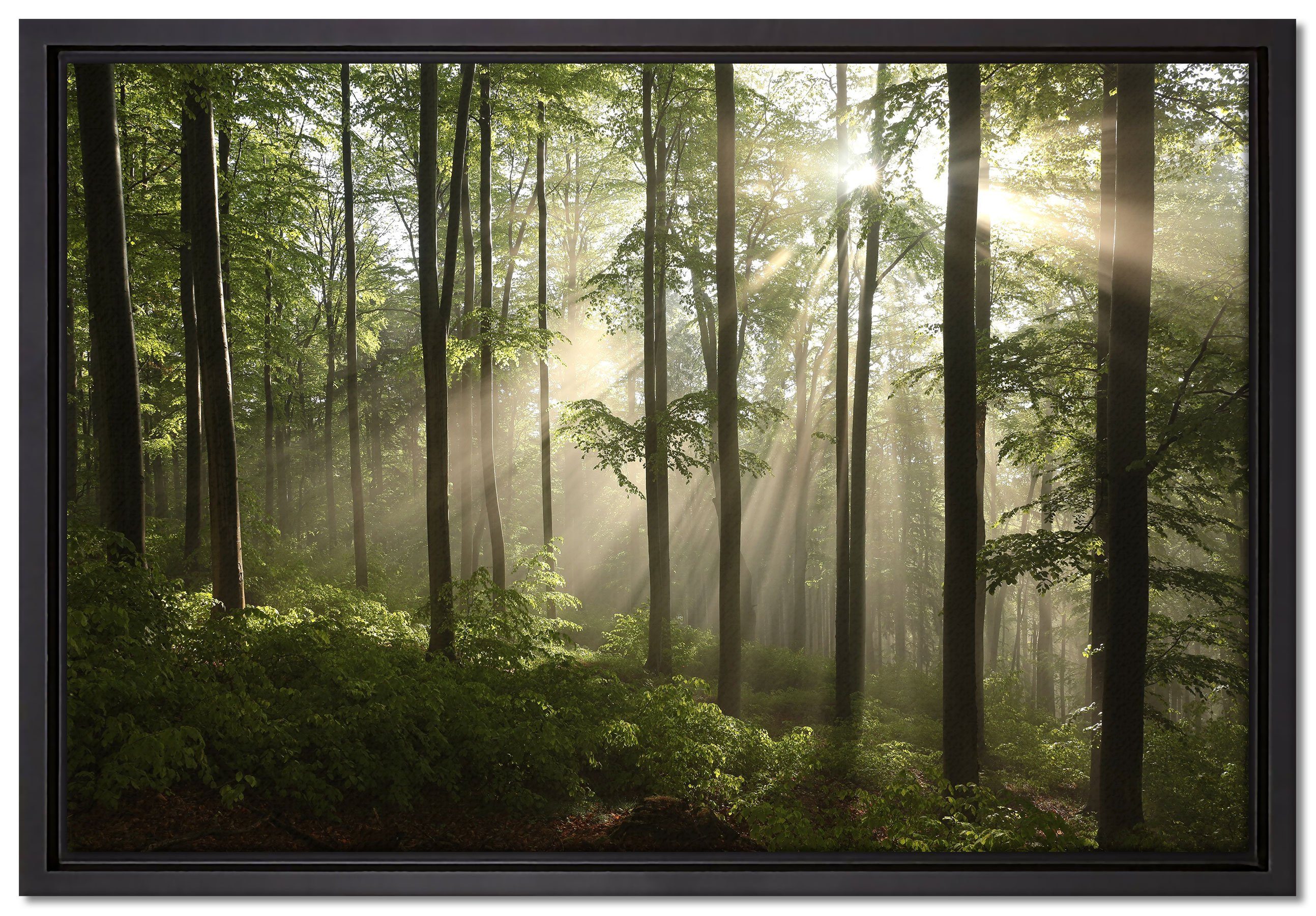 in Schattenfugen-Bilderrahmen (1 einem St), fertig Wanddekoration Wald, bespannt, Leinwandbild inkl. Leinwandbild im gefasst, Sonnenstrahlen Zackenaufhänger Pixxprint