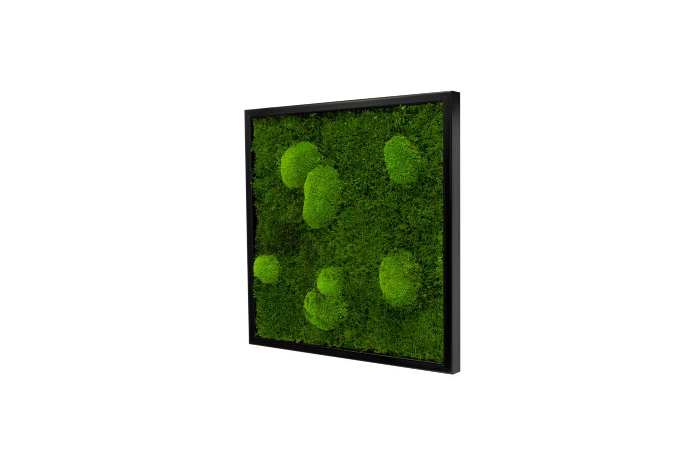 Moos-Design Bilderrahmen Moos Bild Forest Design günstig online kaufen