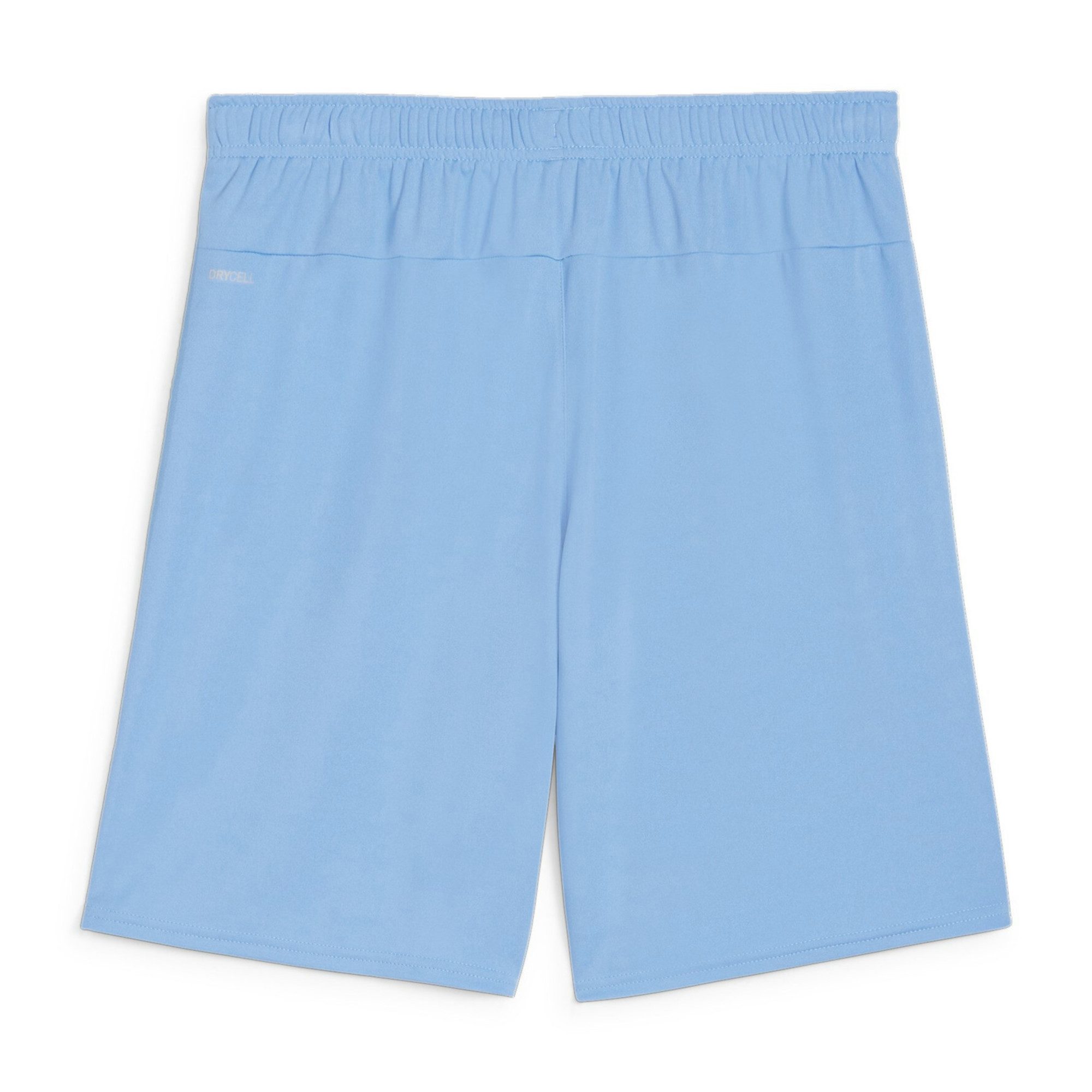 PUMA Trainingsshorts Puma Herren Short teamGOAL günstig online kaufen