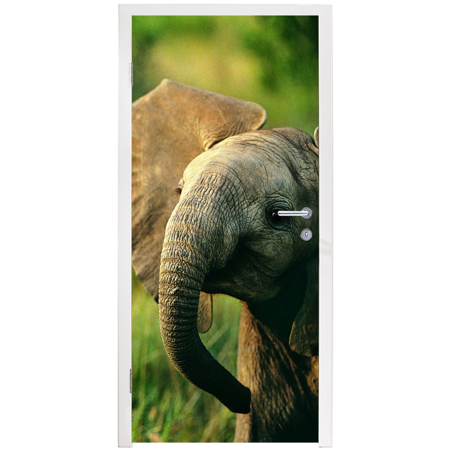 Elefant Tür, - Türaufkleber, Tiere Türtapete MuchoWow bedruckt, Fototapete cm 75x205 (1 - St), Natur, für Matt, - Grün