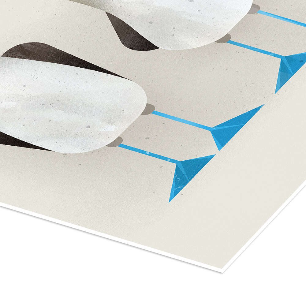 Posterlounge Wandbild Blaufußtölpel, Dieter Braun, erhältlich als Poster, Leinwandbild, Wandsticker oder Acrylglasbild