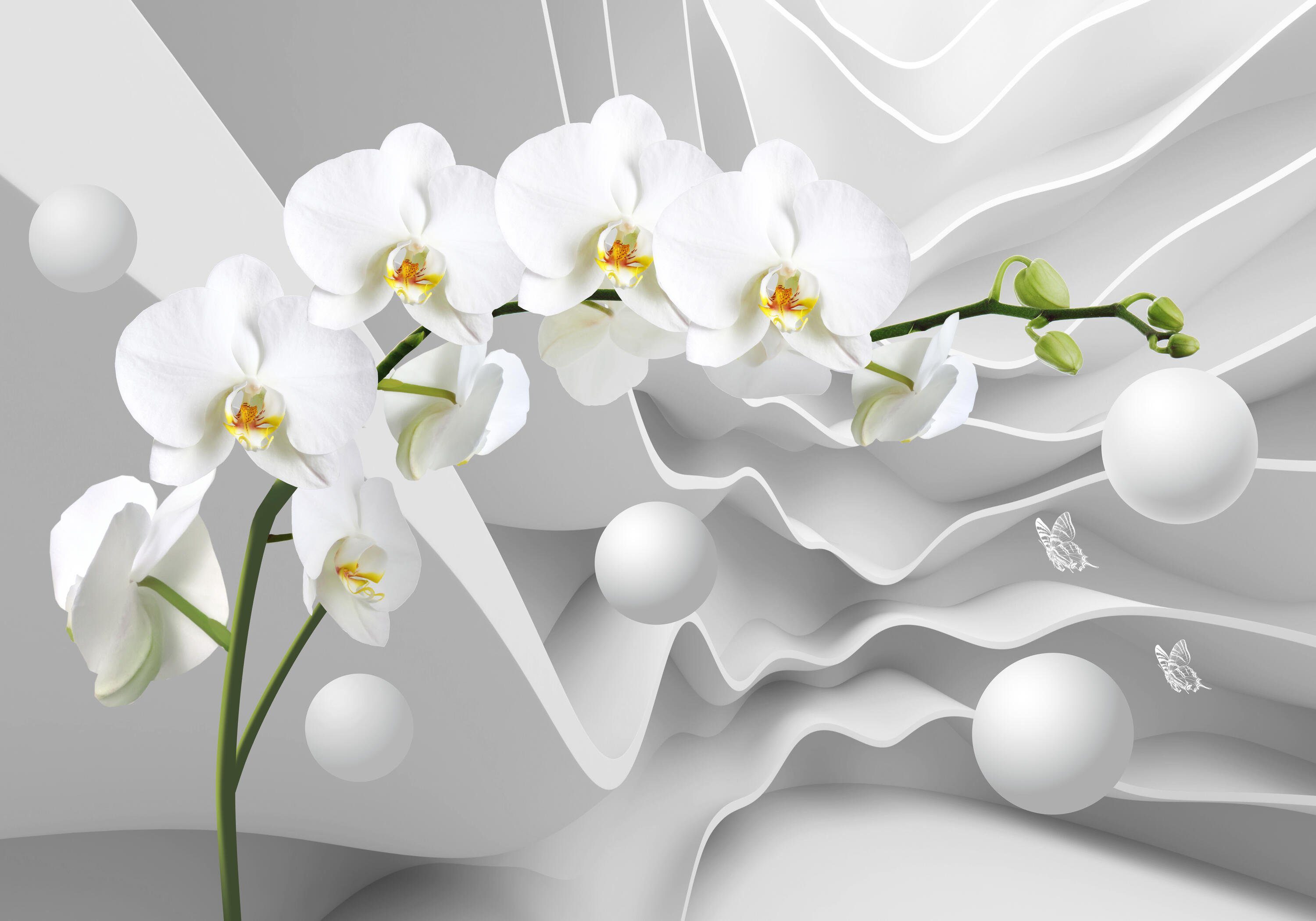 wandmotiv24 Fototapete 3D Effekt Blumen Orchideen Kugeln, glatt, Wandtapete, Motivtapete, matt, Vliestapete