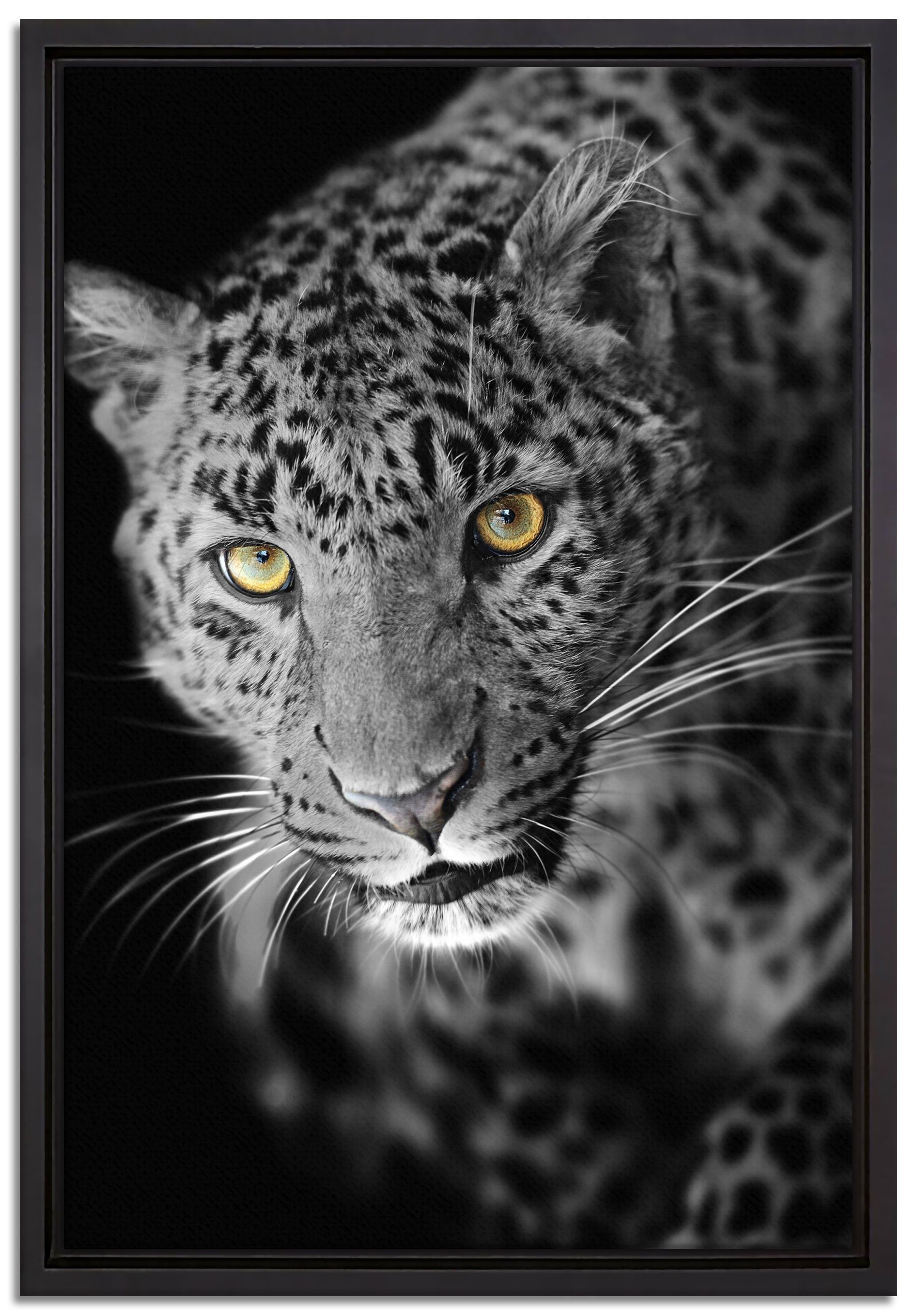 Pixxprint Leinwandbild prächtig anmutiger Leopard, einem Leinwandbild gefasst, bespannt, inkl. (1 Wanddekoration fertig Zackenaufhänger Schattenfugen-Bilderrahmen St), in